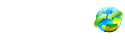 Bank Wire Transfer